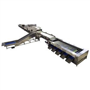 Magni għall-Għażla tad-Daqs tal-Basal