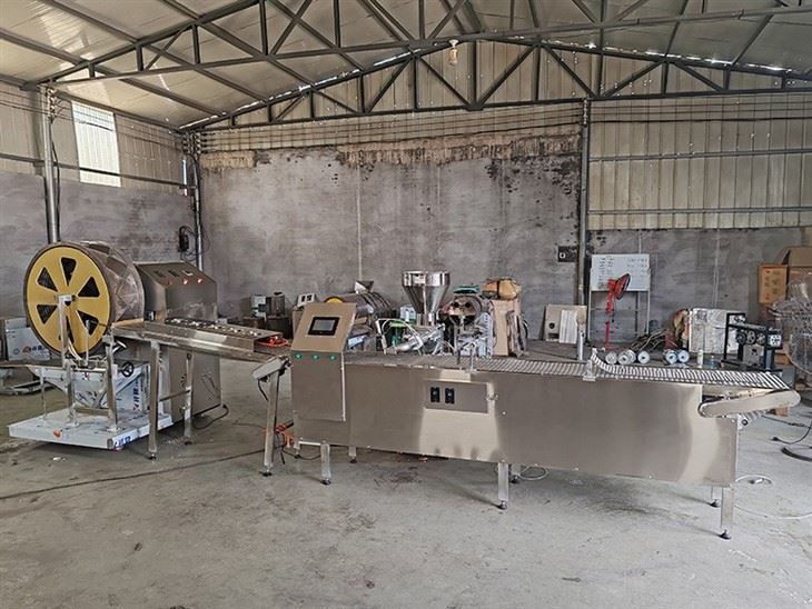 Automatic Spring Roll Production Line