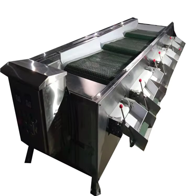 Magni tal-Issortjar tal-Blueberry kompletament awtomatika